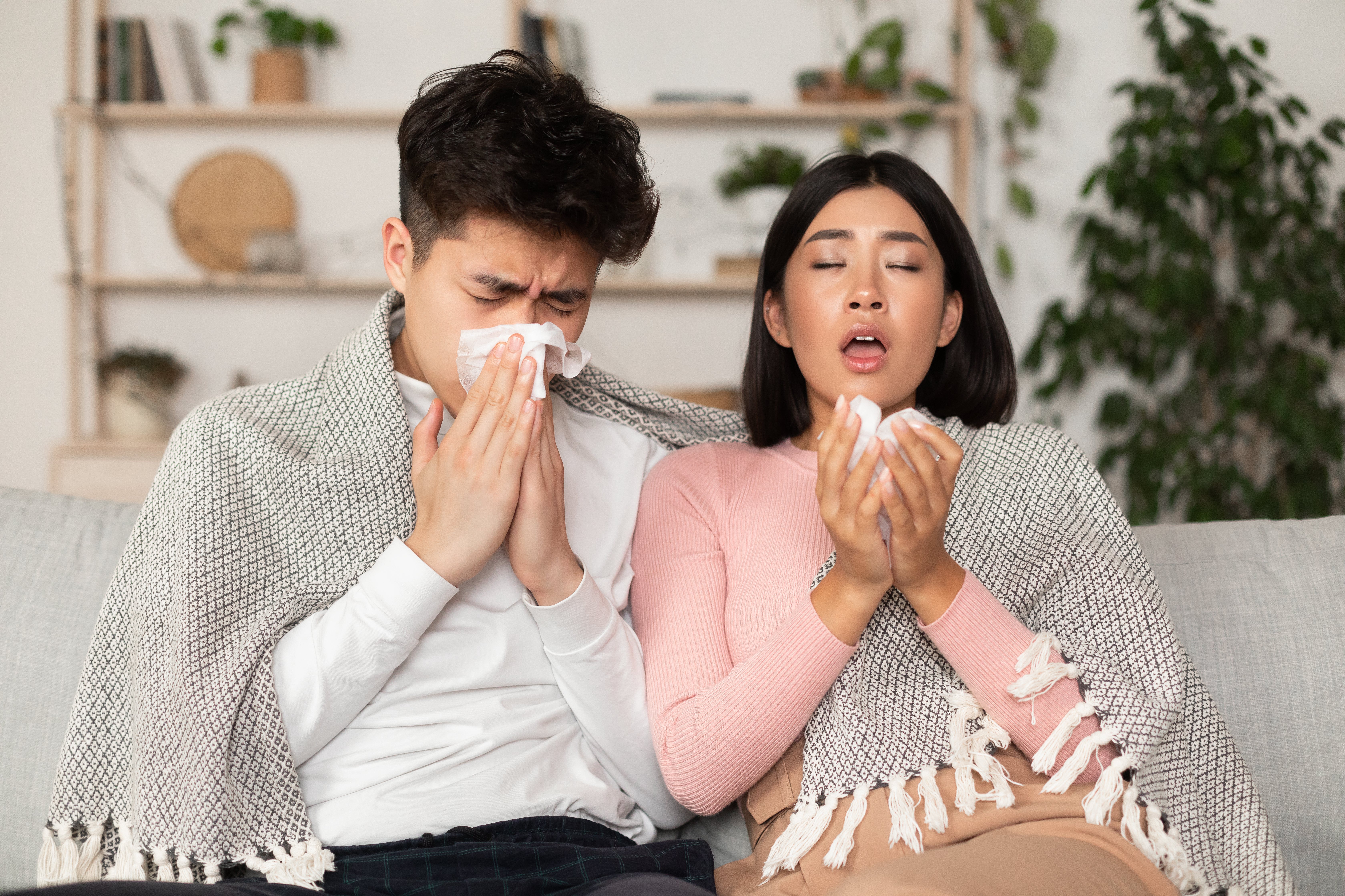 Los síntomas de la alergia son claros e incómodos