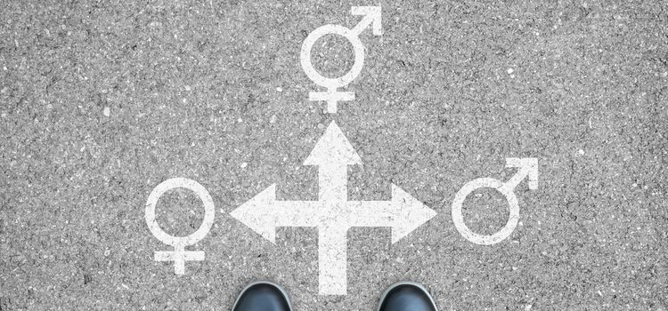 La teoría Queer rechaza clasificar a las personas en función de su orientación sexual o identidad de género